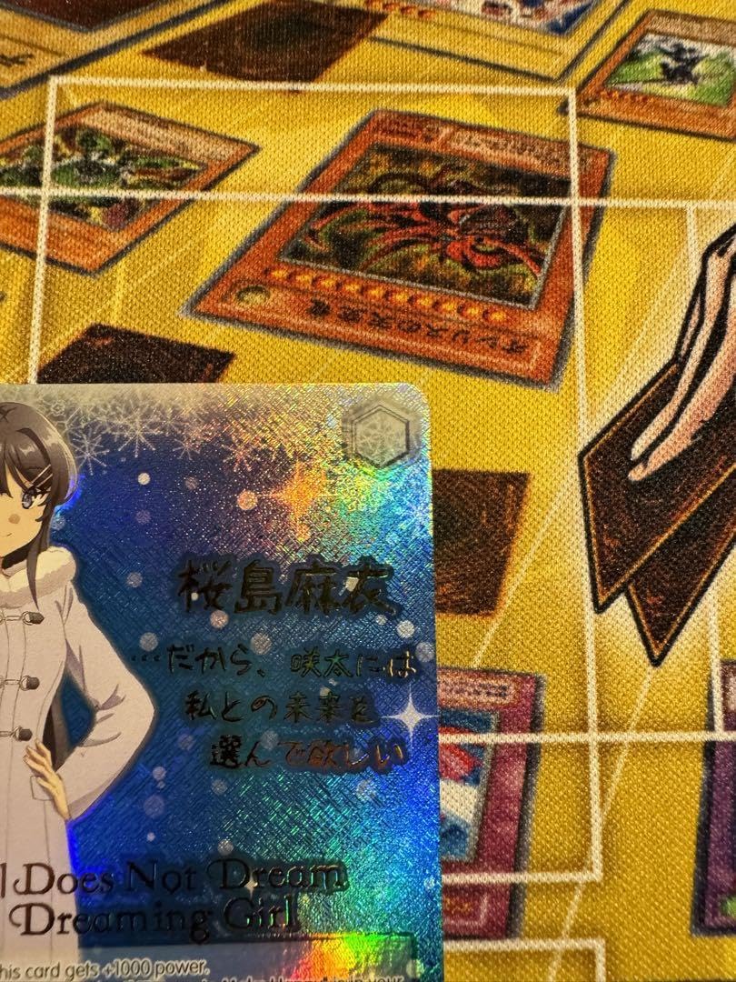 それぞれの選択 桜島麻衣　英語版　SP Amazon.co.jp: 青ブタ それぞれの選択 桜島麻衣 SP サイン